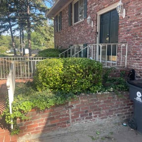 Bush Trimming by GoGreen Lawn Service  reviewed on November 7, 2025