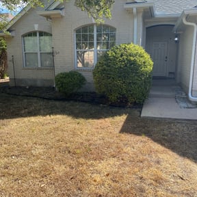 Bush Trimming by Nichols Lawn & Landscaping reviewed on August 17, 2025