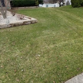 Leaf Removal by ZKZ Landscape &amp; Design reviewed on September 25, 2025