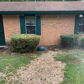 Bush Trimming by Stetty&#039;s Lawn LLC reviewed on November 18, 2025