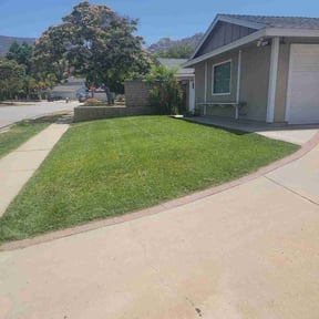 yard maintenance by Alwaysready landscaping reviewed on August 20, 2025