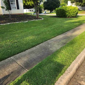 yard maintenance by Nambo lawn and gardening reviewed on August 20, 2025