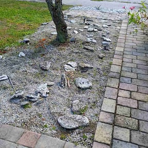 Flower Bed Weeding by EPC landscaping llc reviewed on November 21, 2025