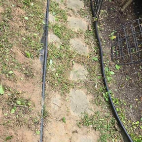 Bush Trimming by Rich Cuts reviewed on October 21, 2025