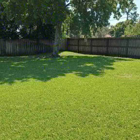 Landscaping by Strib the grasshopper reviewed on December 18, 2025