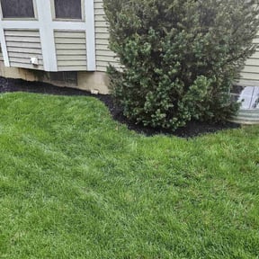 Mulching by Nate's Scapes reviewed on August 19, 2025