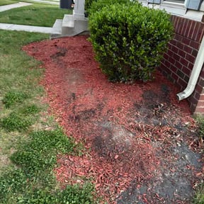 Flower Bed Weeding by Anointed Hands Unlimited LLC reviewed on May 3, 2026