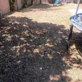 Leaf Removal by SR PRO CONSTRUCTION &amp; LANDSCAPING LLC reviewed on June 28, 2026