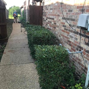 Bush Trimming by Just Handy reviewed on August 15, 2025