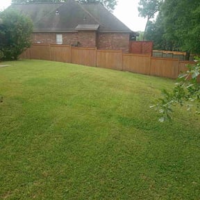 turf care by Salvador Lawn and Tree Service reviewed on May 2, 2024