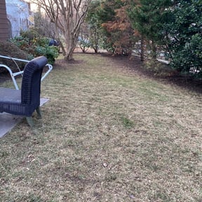 Leaf Removal by Lawncare Service reviewed on September 21, 2025