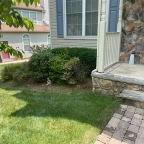 Bush Trimming by Isaiah's lawn service reviewed on August 19, 2025