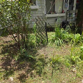 Flower Bed Weeding by Price Lawn Care reviewed on July 25, 2026