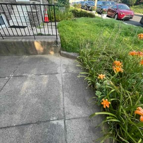 Flower Bed Weeding by Sgt. Robs Lawn Care reviewed on July 18, 2026