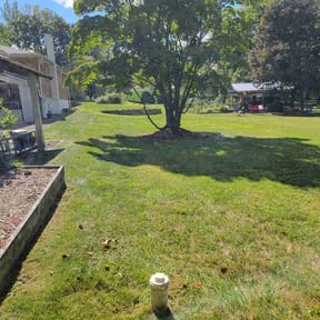 yard care by Gibson Lawn Care reviewed on April 6, 2024