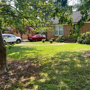 Bush Trimming by Mo the Home Pro reviewed on August 16, 2025