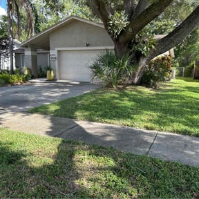 yard maintenance by Pocket saving landscaping reviewed on August 15, 2025