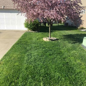yard work by BetterView Landscaping &amp; Home Maintenance reviewed on June 20, 2024