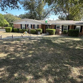 Bush Trimming by Unlimited Lawn Care reviewed on November 26, 2025