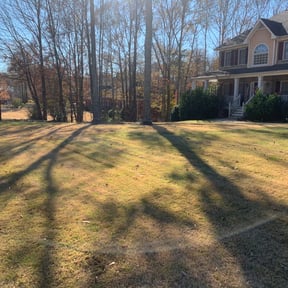 Leaf Removal by Top Shape Ground Management, LLC reviewed on September 21, 2025