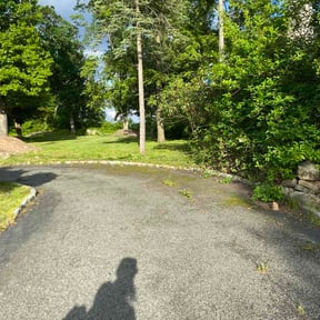 Bush Trimming by Farris landscaping reviewed on May 31, 2026
