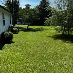 residential landscaping by Chad’s Landscape reviewed on August 15, 2025