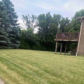 yard care by Complete Lawn Care reviewed on August 19, 2025