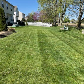 yard service by Howards Elite Lawn Care and Landscaping reviewed on December 14, 2025