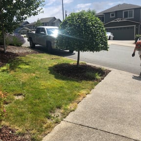 Bush Trimming by Land Decor Inc. reviewed on August 19, 2025