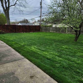 yard care by Hustle Lawn Care reviewed on August 19, 2025