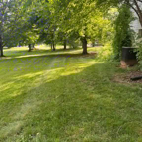 yard work by Cossie Landscaping reviewed on April 16, 2024