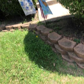 Bush Trimming by Solo Lawns reviewed on August 13, 2025