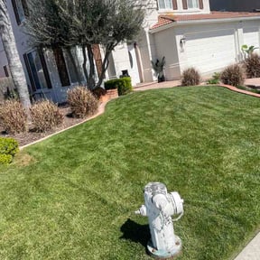 Flower Bed Weeding by Home Care by The Beach LLC reviewed on March 12, 2026