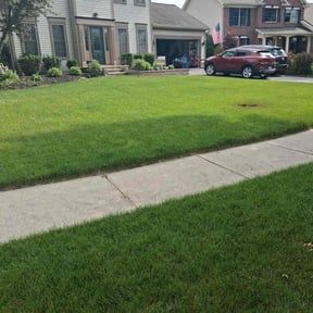turf care by TOMS - Total Outdoor Maintenance reviewed on August 19, 2025