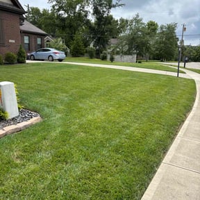 gardening service by Milos lawncare and landscaping reviewed on August 19, 2025