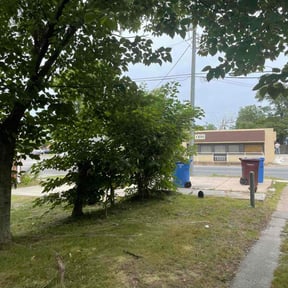 Bush Trimming by 10 yards lawnmowing reviewed on August 21, 2025