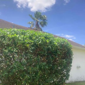 Bush Trimming by Marvel scapes reviewed on August 21, 2025