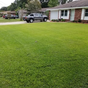 yard care by Harry's Champion Landscaping reviewed on August 21, 2025