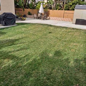 turf care by Medina lawns service reviewed on March 14, 2024