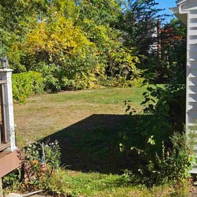 Leaf Removal by GreenScapes Lawncare reviewed on November 9, 2025