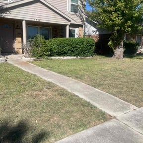 Bush Trimming by Burleys Lawn Care reviewed on November 24, 2025