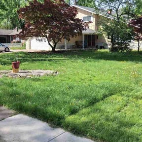 Leaf Removal by Martins Lawn and Landscape LLC reviewed on June 6, 2026