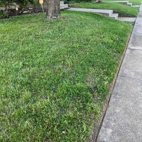 lawn care by Zombie cutting team reviewed on August 16, 2025