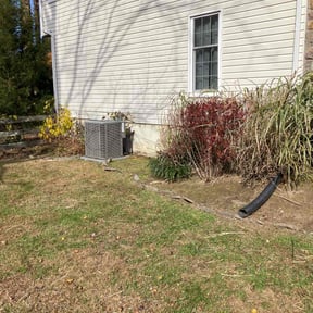 lawn care services by Elite Care reviewed on August 1, 2025