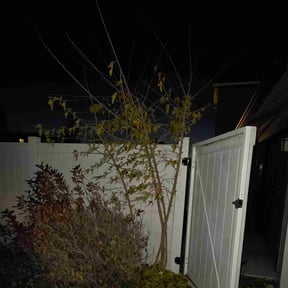 Bush Trimming by Evolution Landscape Maintenance reviewed on October 21, 2025