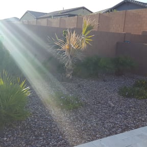 Bush Trimming by Real Deal Lawn Care LLC reviewed on August 21, 2025