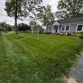 landscaping by Top tier landscaping reviewed on March 3, 2024