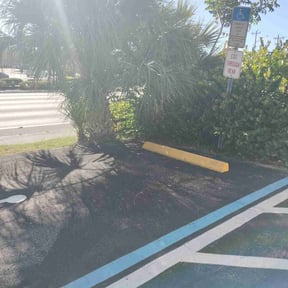 Bush Trimming by Man of God lawn service reviewed on October 18, 2025