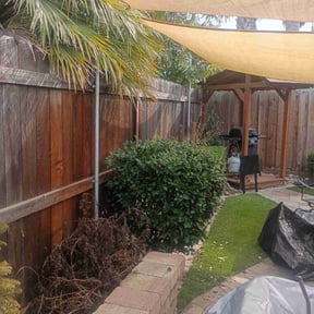 Bush Trimming by Diamond Landscape of Florida reviewed on February 19, 2026