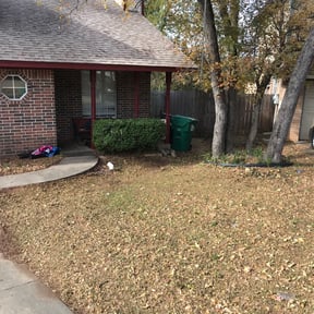 Bush Trimming by Chicago Lawn Care & Snow Removal reviewed on August 13, 2025
